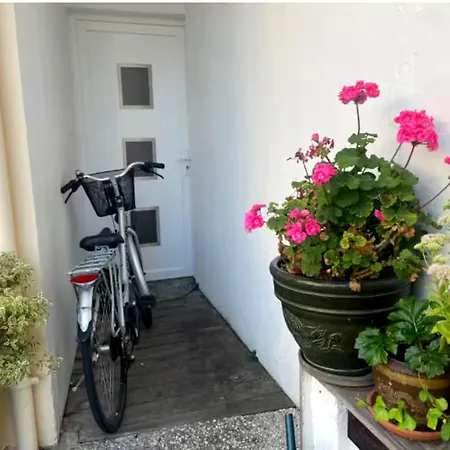 Charmante Maison-chalet, Vélos Et Jacuzzi Сasa de vacaciones