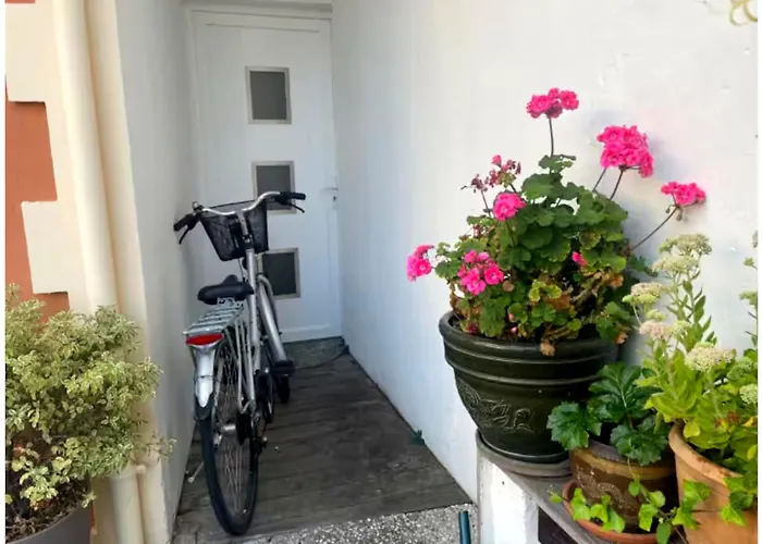 Charmante Maison-chalet, Vélos Et Jacuzzi Hébergement de vacances